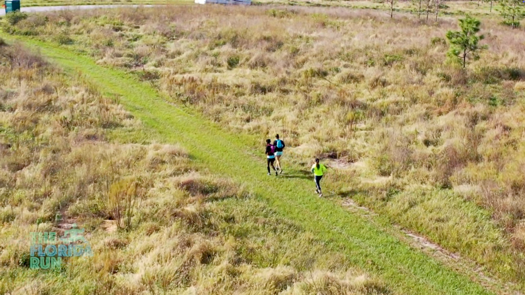 Documentary & TV Feature Backup